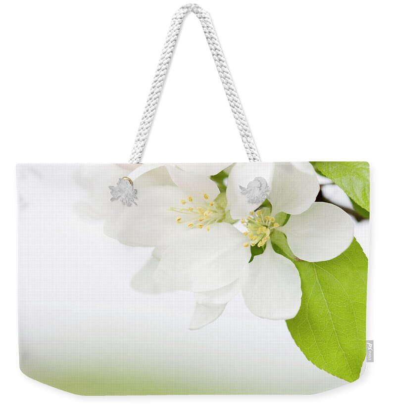 Close-up Weekender Tote Bag featuring the photograph Apple Blossoms #1 by Patty c