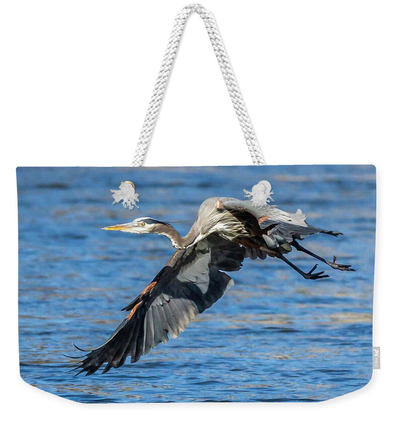 Blue Heron Weekender Tote Bag featuring the photograph Blue Heron #1 by David Wagenblatt