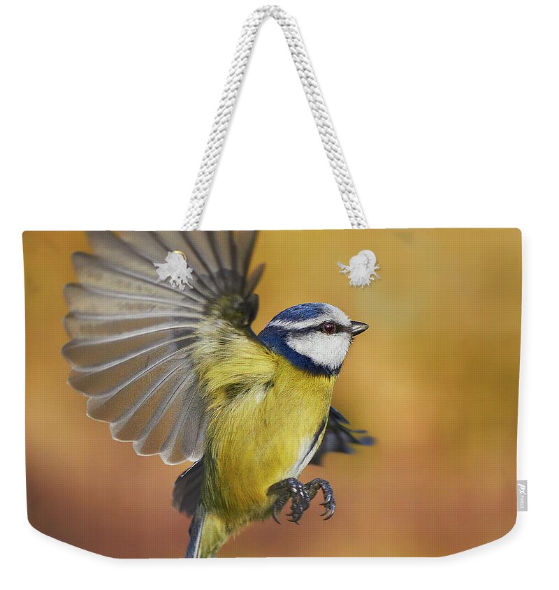 Transfer Print Weekender Tote Bag featuring the photograph Blue Tit #1 by J N Photography