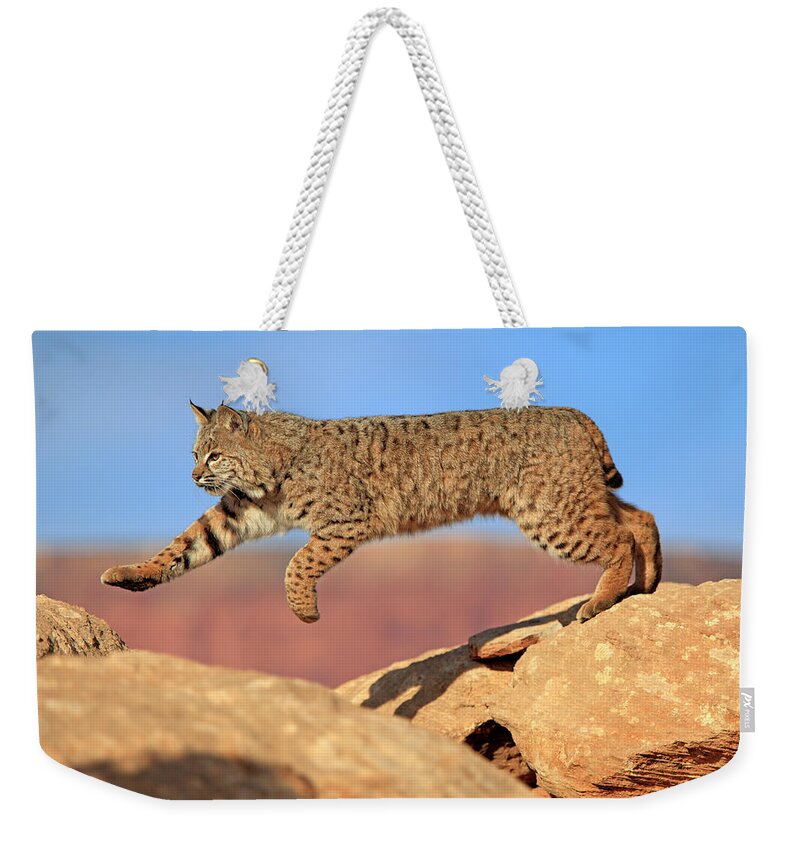 Scenics Weekender Tote Bag featuring the photograph Bobcat #1 by Tier Und Naturfotografie J Und C Sohns