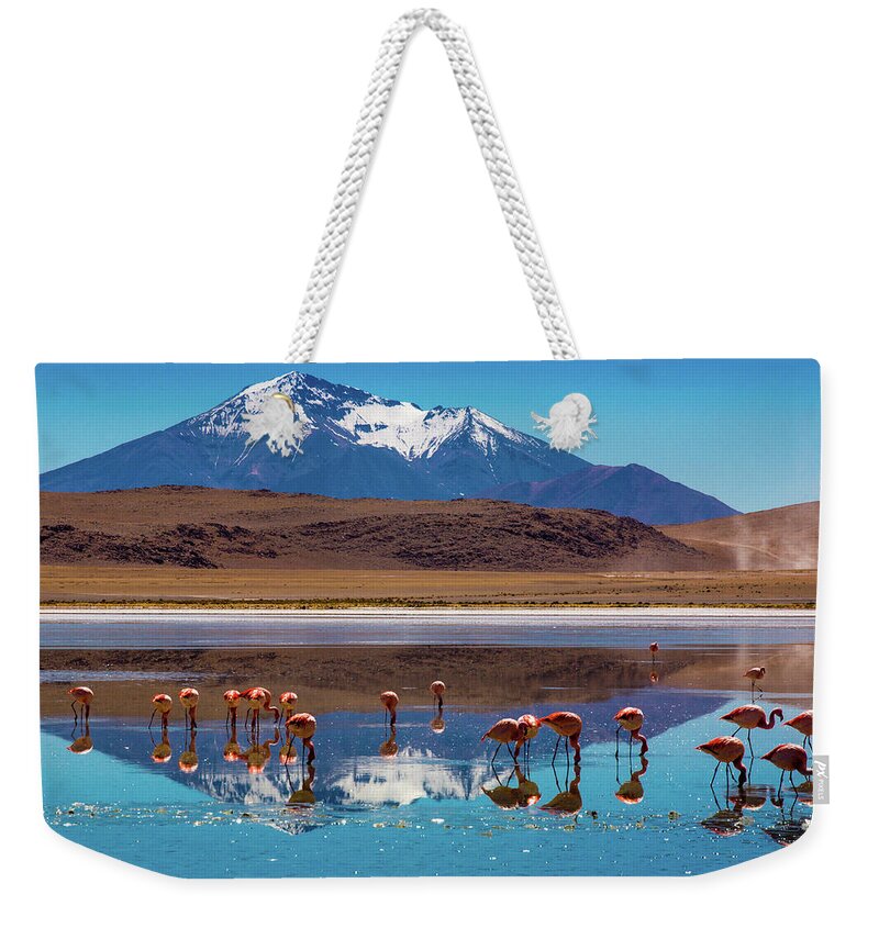 Bolivia Weekender Tote Bag featuring the photograph Bolivian Altiplano #1 by Andras Jancsik