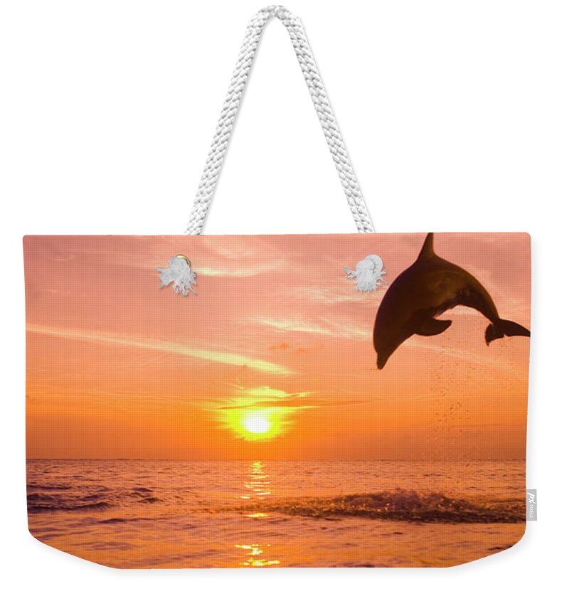 Orange Color Weekender Tote Bag featuring the photograph Bottlenose Dolphin Tursiops Truncatus #1 by Rene Frederick