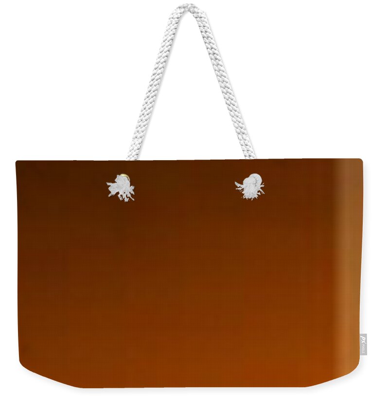 Oil Weekender Tote Bag featuring the painting Brown Totem by Matteo TOTARO
