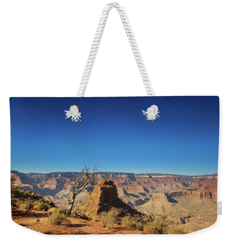 Grand Canyon National Park Weekender Tote Bag featuring the photograph Canyons and Trees #1 by Kunal Mehra