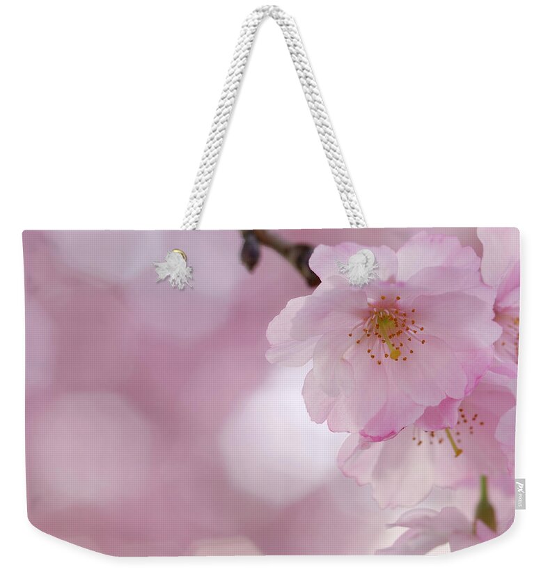 Petal Weekender Tote Bag featuring the photograph Cherry Blossom, Close-up #1 by Martin Ruegner