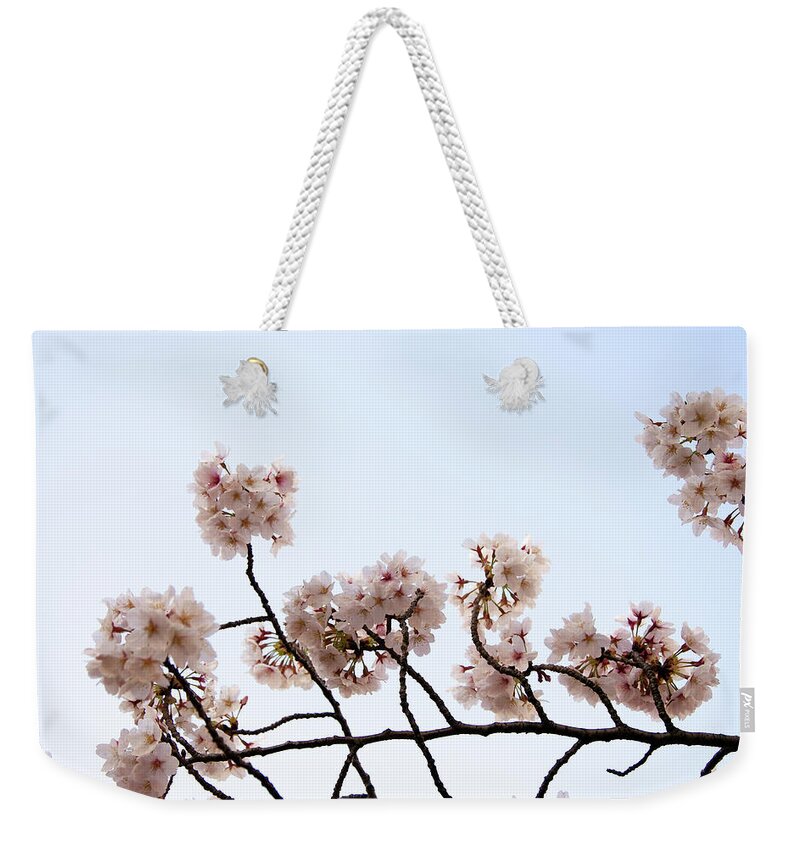 Meguro Ward Weekender Tote Bag featuring the photograph Cherry Blossom On Branch #1 by Japan From My Eye