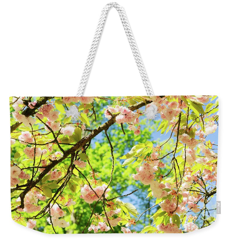 Background Weekender Tote Bag featuring the photograph Cherry tree blossom by Anastasy Yarmolovich