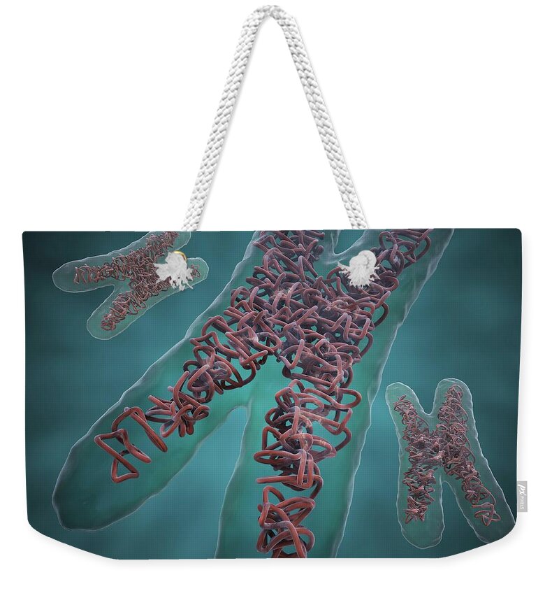 Physiology Weekender Tote Bag featuring the digital art Chromosomes, Artwork #1 by Science Photo Library - Andrzej Wojcicki