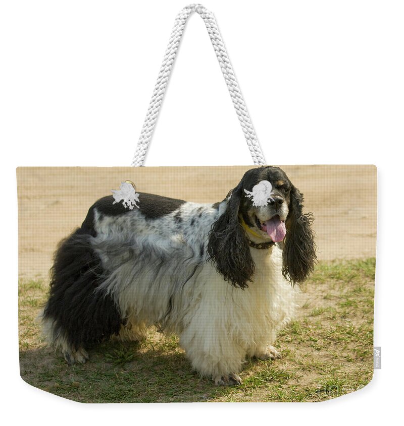 Cocker Weekender Tote Bag featuring the photograph Cocker spaniel dog #1 by Irina Afonskaya