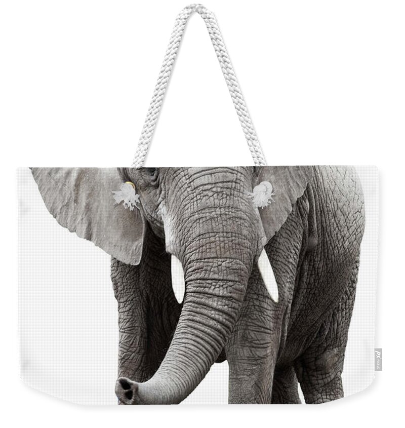 Toughness Weekender Tote Bag featuring the photograph Elephant #1 by Burazin