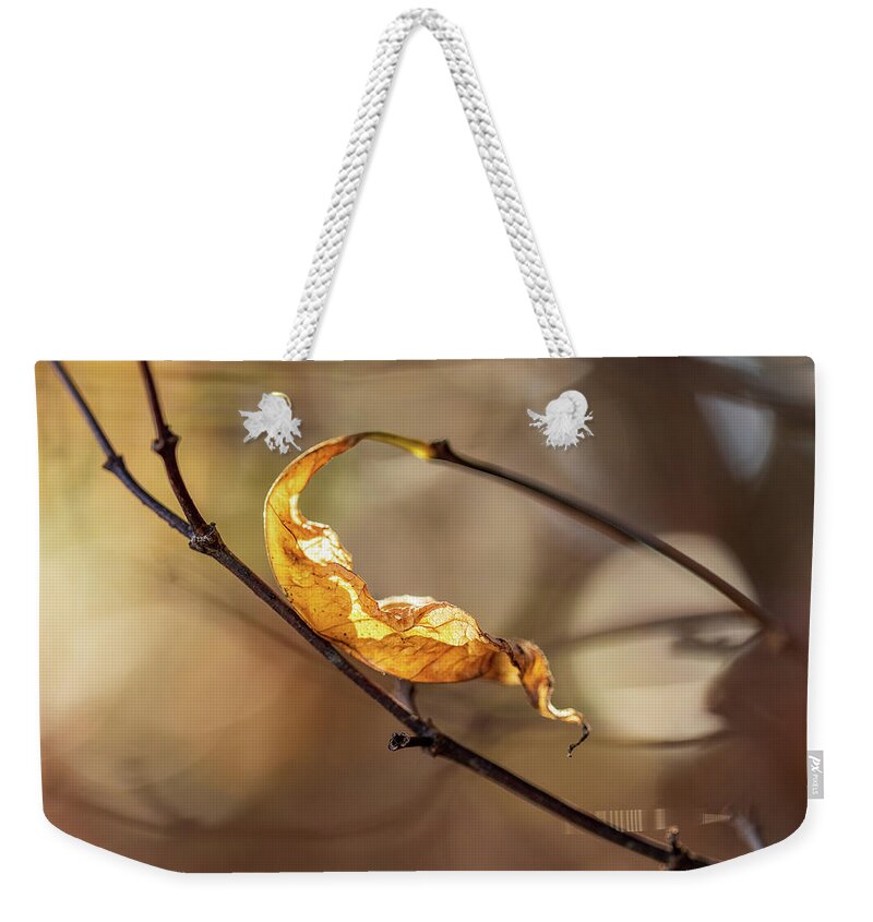 Fall Weekender Tote Bag featuring the photograph Nature Photography - Fall Leaves by Amelia Pearn