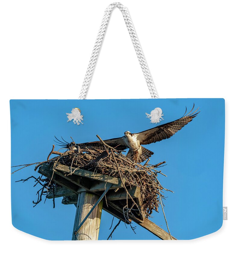 Osprey Weekender Tote Bag featuring the photograph Feathering The Nest by Cathy Kovarik