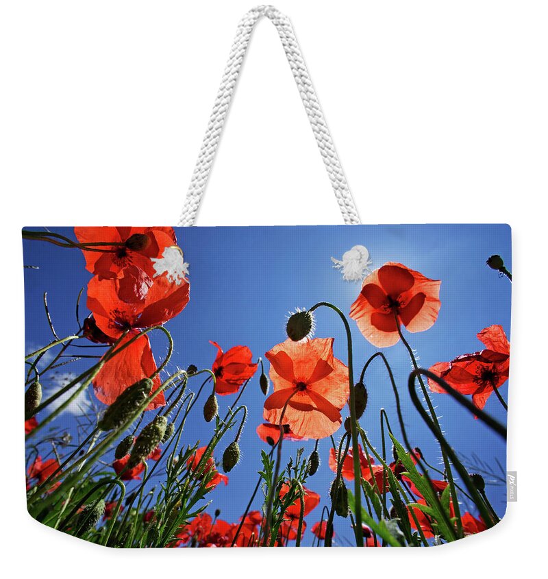 Outdoors Weekender Tote Bag featuring the photograph Field Of Poppies At Spring #1 by Sami Sarkis