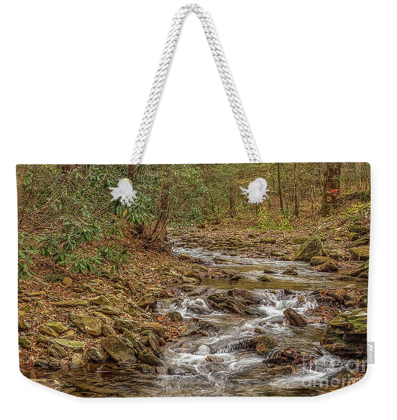 Desoto-falls Weekender Tote Bag featuring the photograph Frogtown Creek #2 by Bernd Laeschke