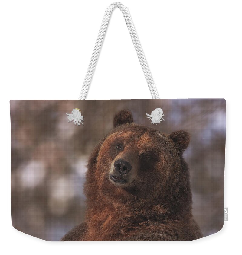 Animal Weekender Tote Bag featuring the photograph Grizzly #1 by Brian Cross