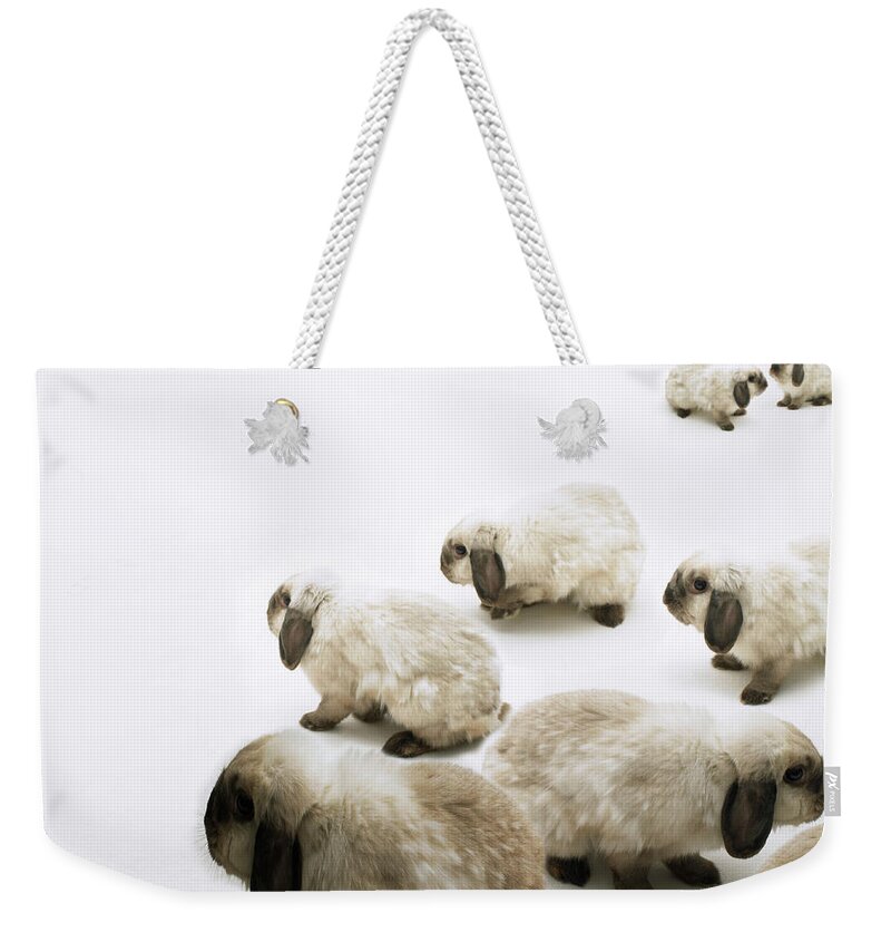 Pets Weekender Tote Bag featuring the photograph Group Of Lop-eared Rabbits Against #1 by Michael Blann