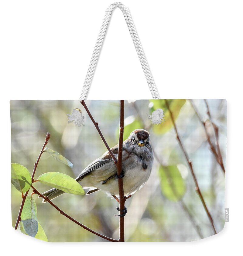 American Tree Sparrow Weekender Tote Bag featuring the photograph Here's Looking at You #1 by Amy Porter