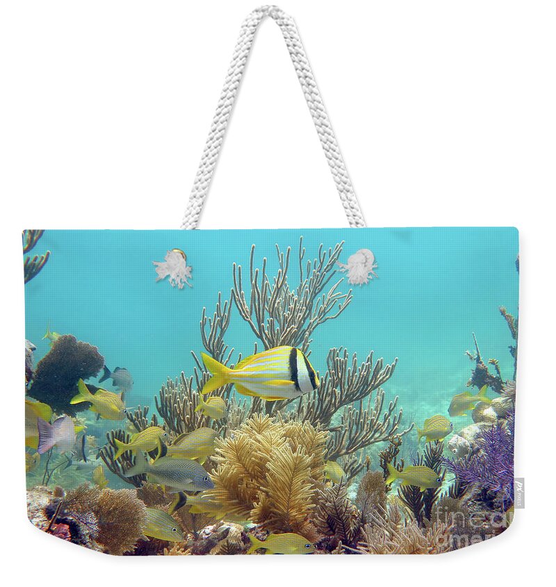 Underwater Weekender Tote Bag featuring the photograph Horseshoe Reef 3 #1 by Daryl Duda