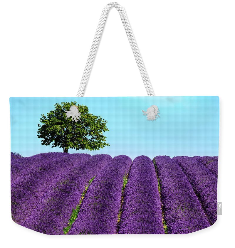 Lavender Weekender Tote Bag featuring the photograph Lavender and lonely tree uphill. Provence, France #1 by Stefano Orazzini