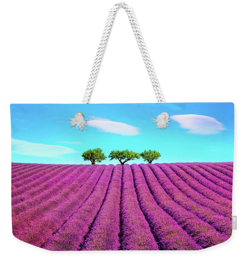 Lavender Weekender Tote Bag featuring the photograph Lavender and trees on the top of the hill. Provence, France by Stefano Orazzini