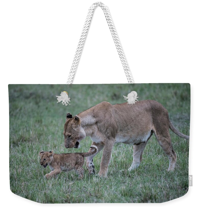 Africa Weekender Tote Bag featuring the photograph Lioness and cub #1 by Steve Somerville