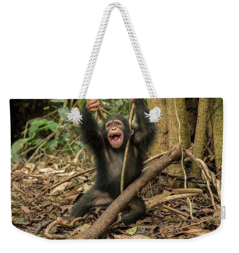 Gerry Ellis Weekender Tote Bag featuring the photograph Little Larry Playing In Forest #1 by Gerry Ellis