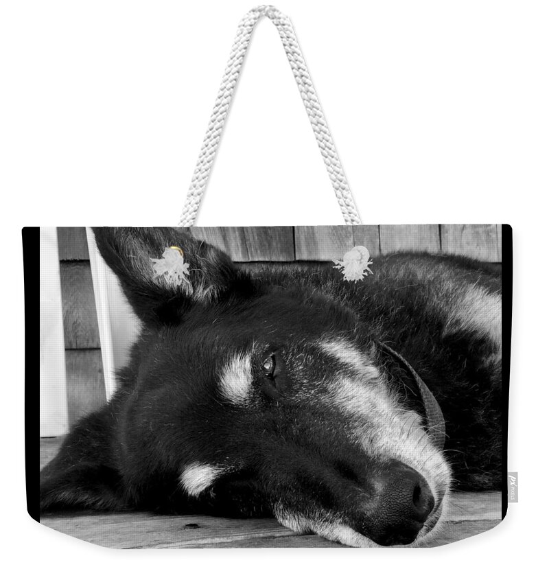 Lobster Dock Weekender Tote Bag featuring the photograph Lobstah Dock Dawg Nap #1 by Debra Grace Addison