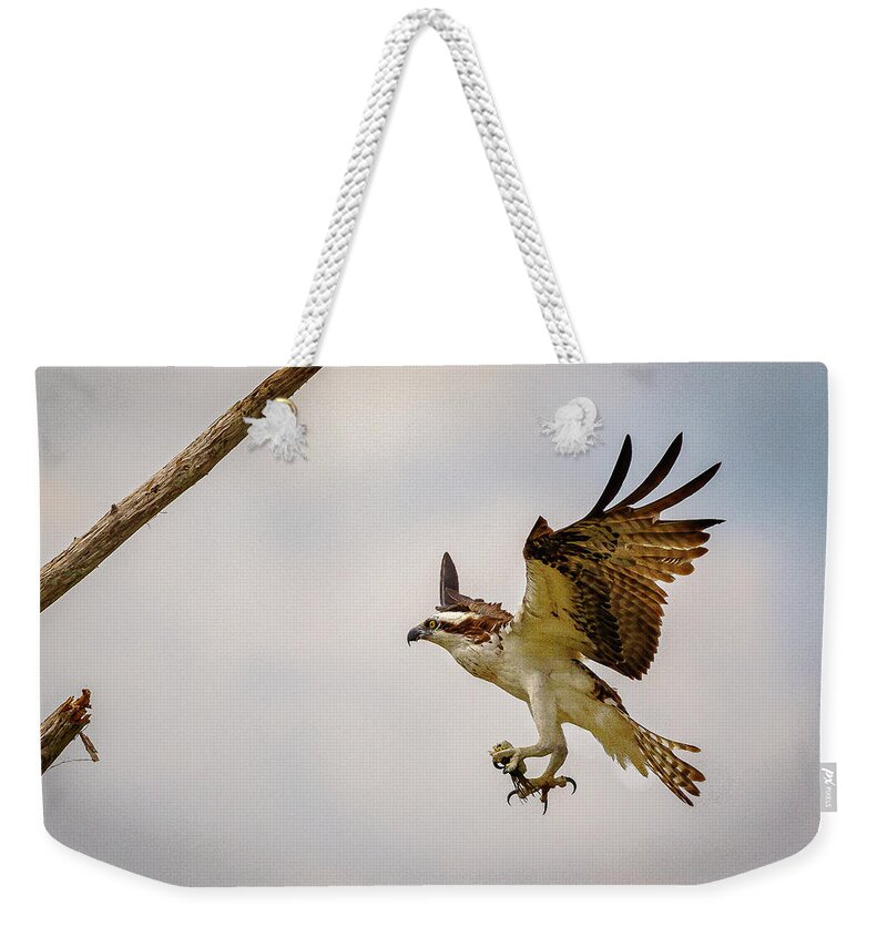 Osprey Weekender Tote Bag featuring the photograph Lunch Time #1 by Les Greenwood