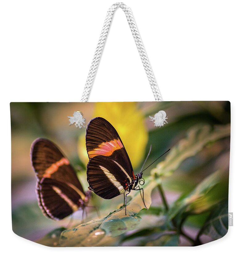 Bill Pevlor Weekender Tote Bag featuring the photograph Me And My Shadow #1 by Bill Pevlor