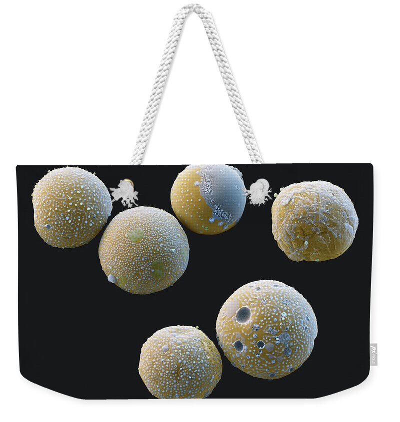Cow Milk Weekender Tote Bag featuring the photograph Milk Fat Droplets, Sem #1 by Eye Of Science