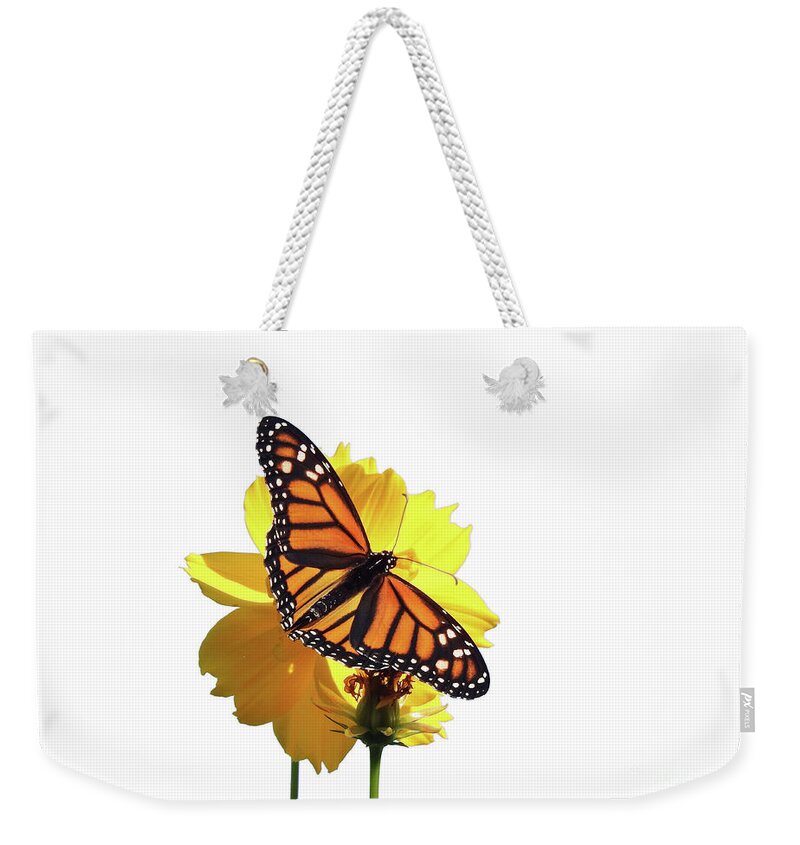 Monarch Butterfly Weekender Tote Bag featuring the photograph Monarch Butterfly #2 by Scott Cameron