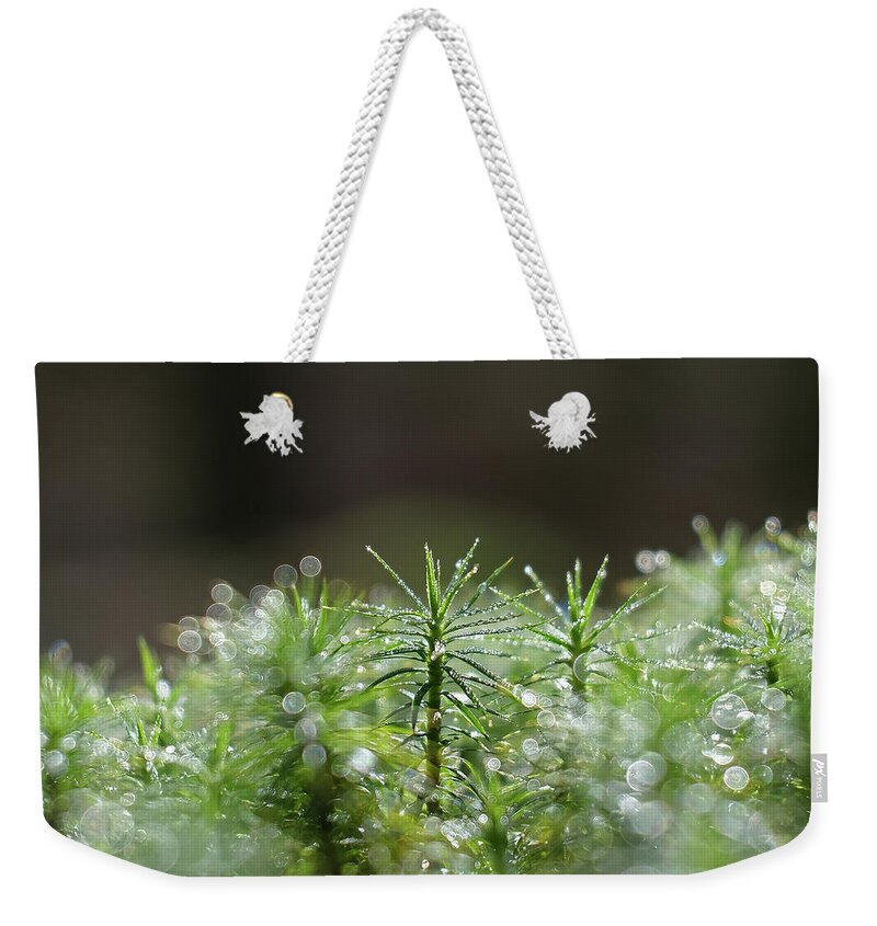 Sweden Weekender Tote Bag featuring the pyrography Moss #1 by Magnus Haellquist