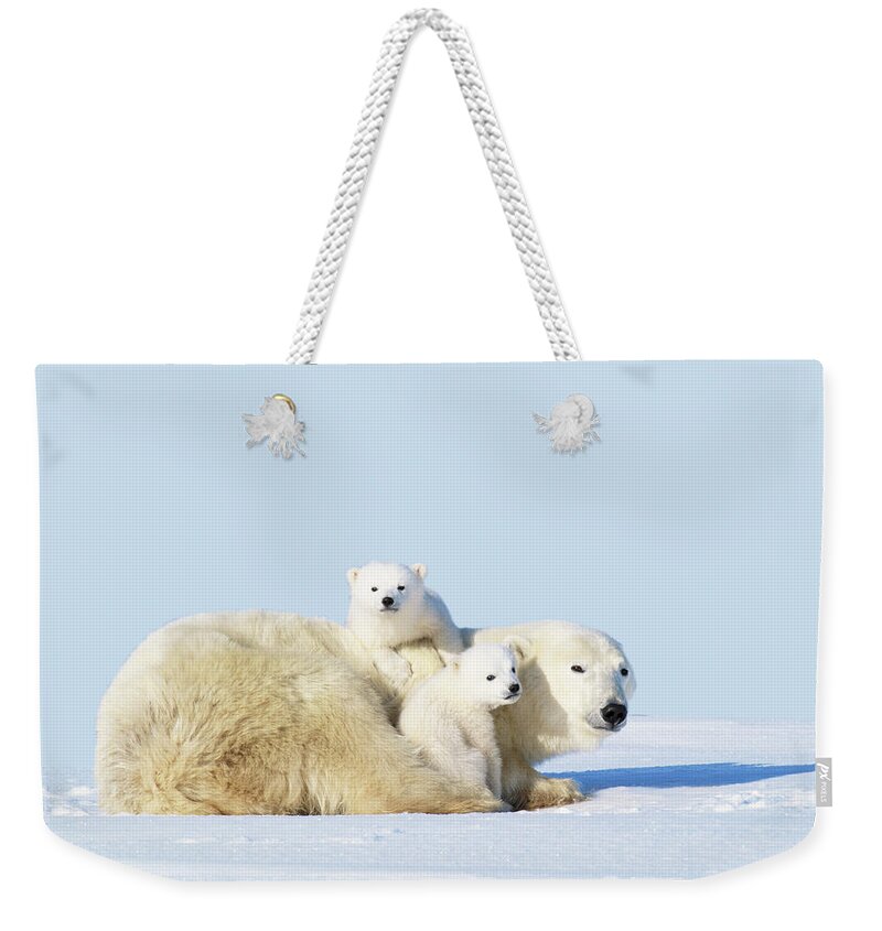 Bear Cub Weekender Tote Bag featuring the photograph Mother Polar Bear With Cubs, Canada by Art Wolfe