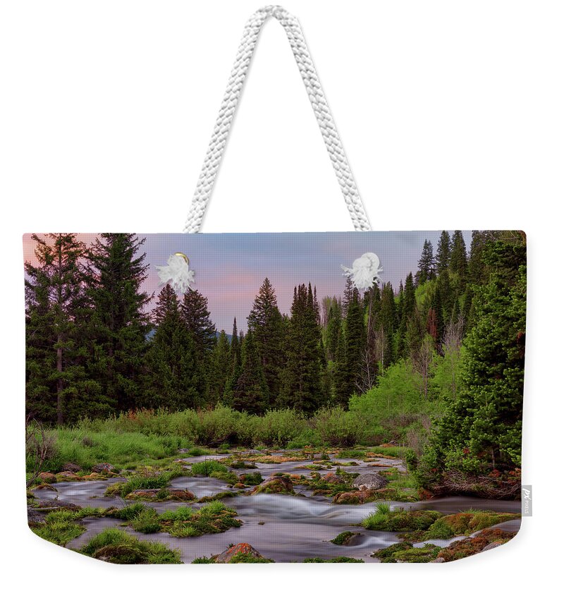 Nature Weekender Tote Bag featuring the photograph Mountain Spring #1 by Leland D Howard