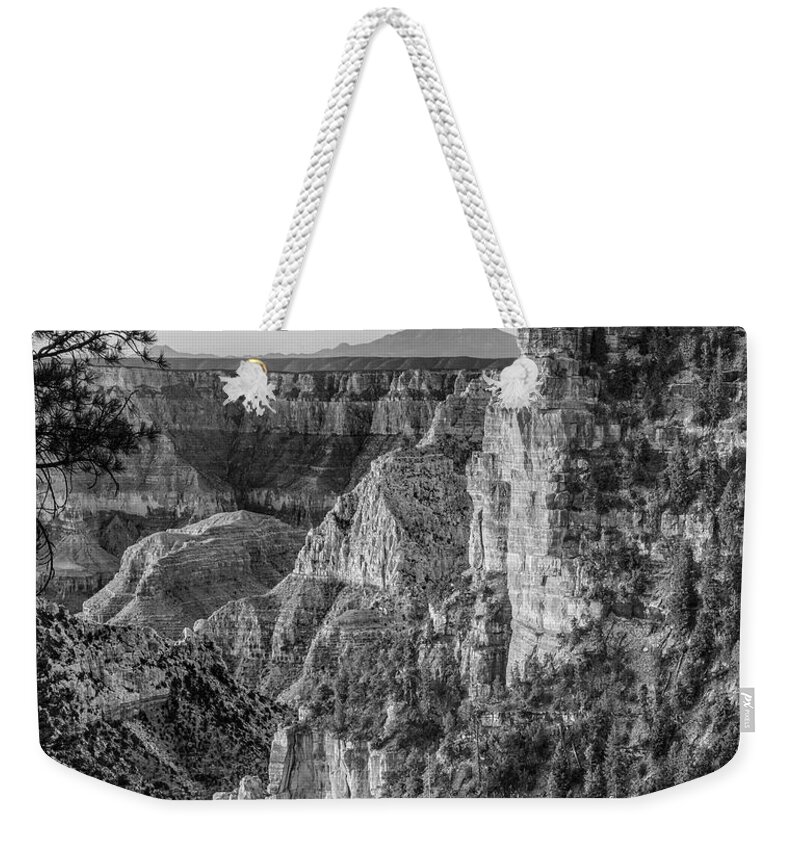 Disk1216 Weekender Tote Bag featuring the photograph North Rim, Grand Canyon #1 by Tim Fitzharris