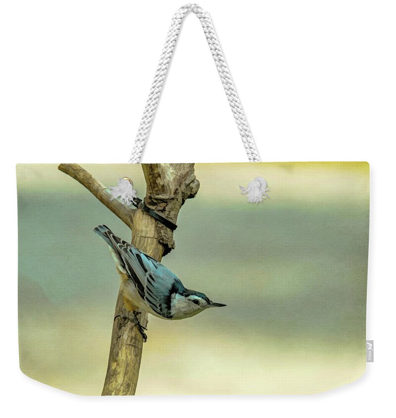 Songbird Weekender Tote Bag featuring the photograph Nuthatch #1 by Cathy Kovarik