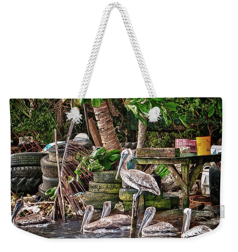 Belize Weekender Tote Bag featuring the photograph Pelicans #1 by Jessica Levant