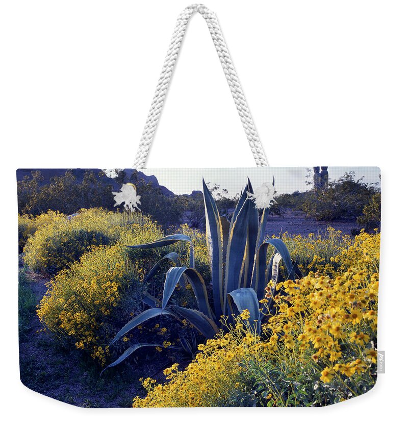 Tranquility Weekender Tote Bag featuring the photograph Phoenix Botanical Gardens #1 by Richard Felber
