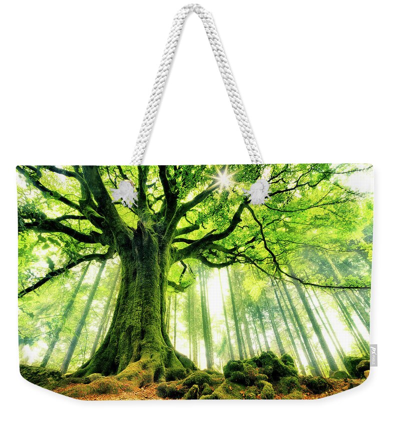 Scenics Weekender Tote Bag featuring the photograph Ponthus Beech #1 by Christophe Kiciak