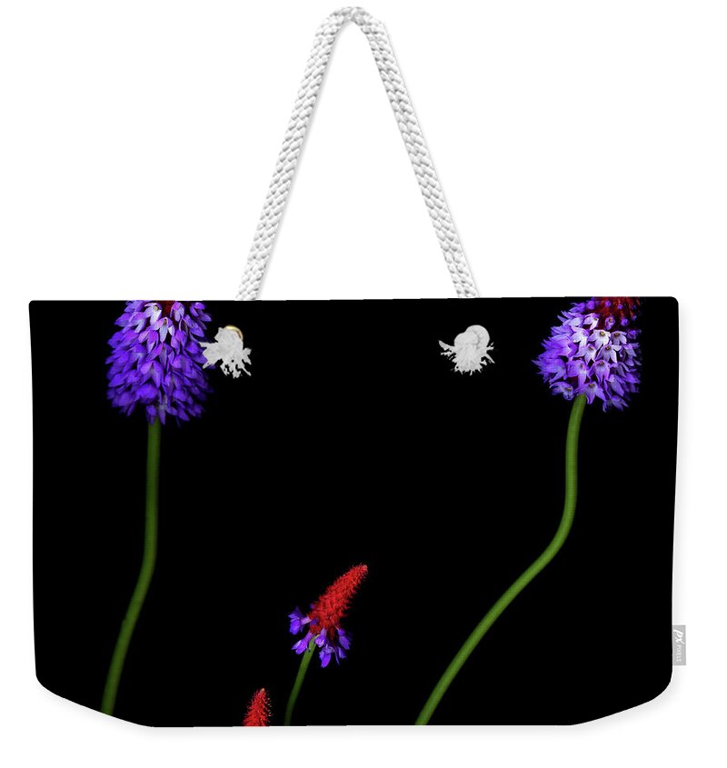 Primula Weekender Tote Bag featuring the photograph Primula Vialii by Photograph By Magda Indigo