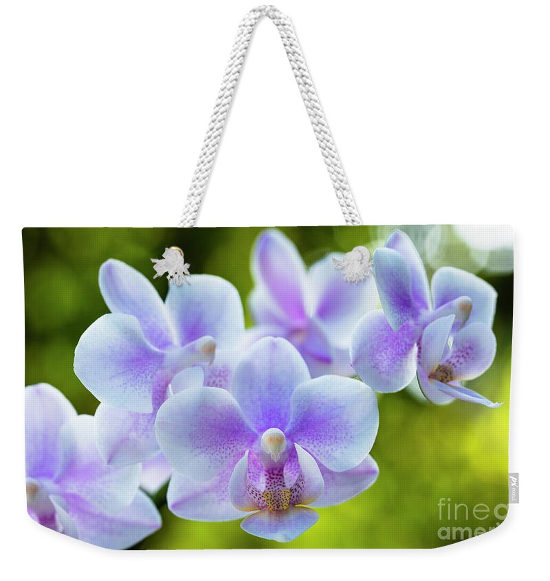 Background Weekender Tote Bag featuring the photograph Purple Orchid Flowers #1 by Raul Rodriguez