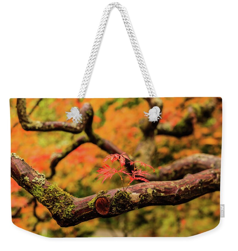 Japanese Garden Weekender Tote Bag featuring the photograph Rebirth #1 by Briand Sanderson