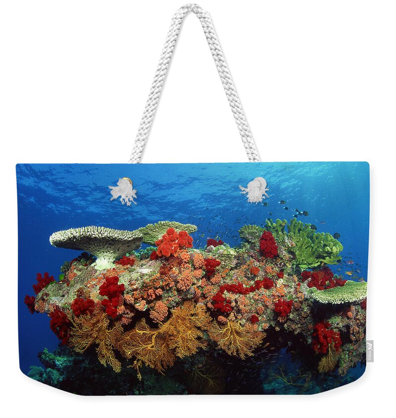 Underwater Weekender Tote Bag featuring the photograph Reef Scenic Of Hard Corals , Soft #1 by Comstock