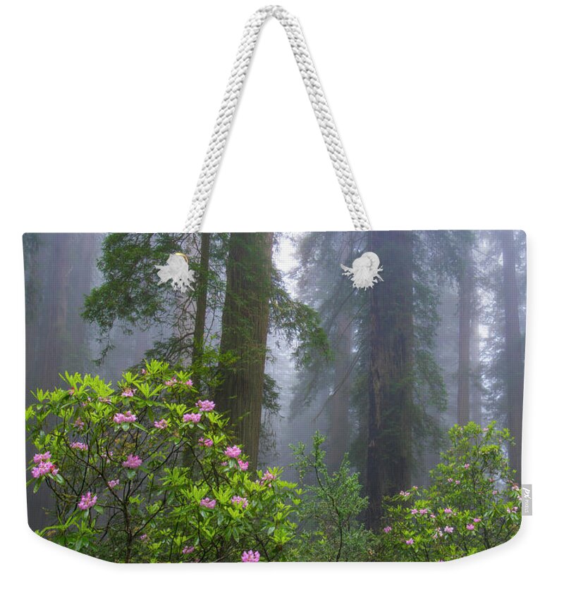 00571630 Weekender Tote Bag featuring the photograph Rhododendron And Coast Redwoods In Fog, Redwood National Park, California #1 by Tim Fitzharris