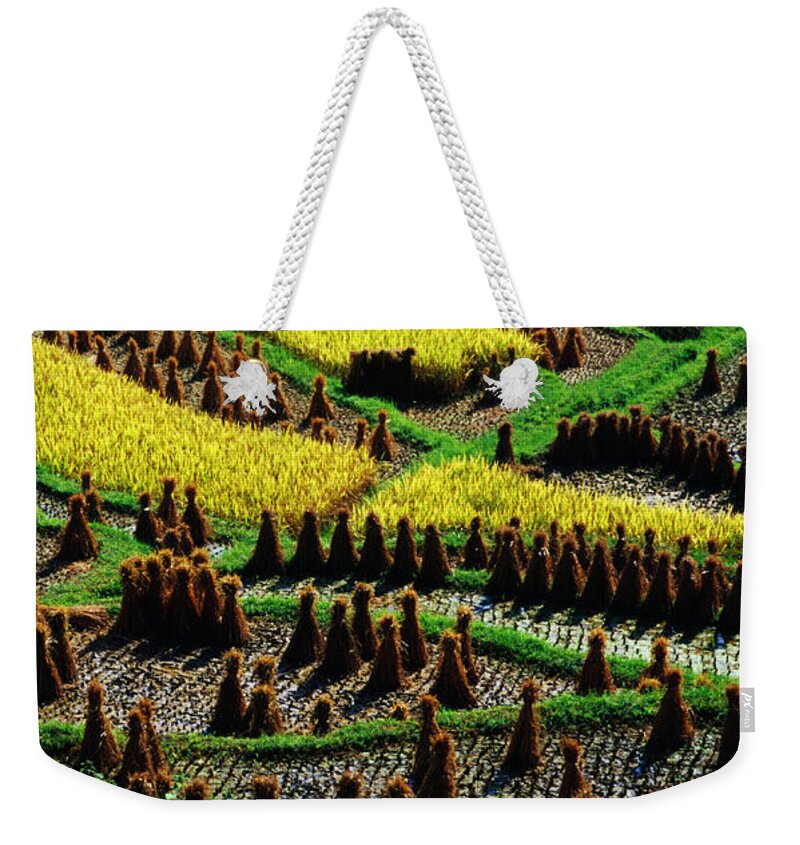Rice Paddy Weekender Tote Bag featuring the photograph Ricescapes, China, North-east Asia #1 by Richard I'anson