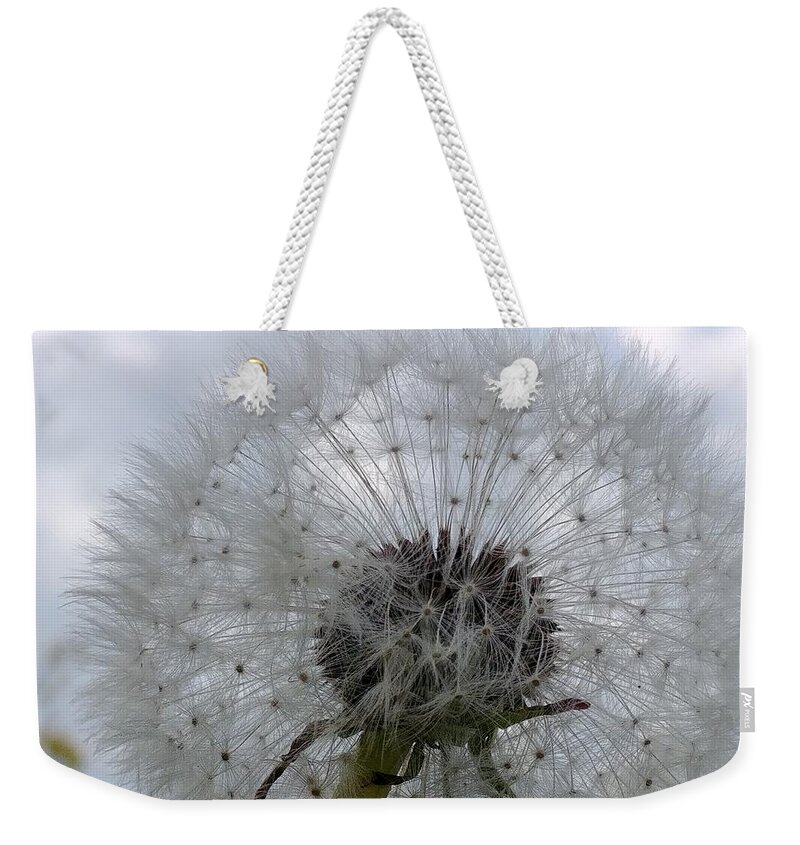 Flower Weekender Tote Bag featuring the photograph Serenity by Karin Ravasio