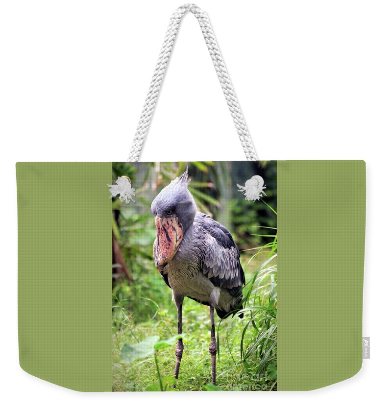 Shoebill Weekender Tote Bag featuring the photograph Whale-headed Stork by Savannah Gibbs