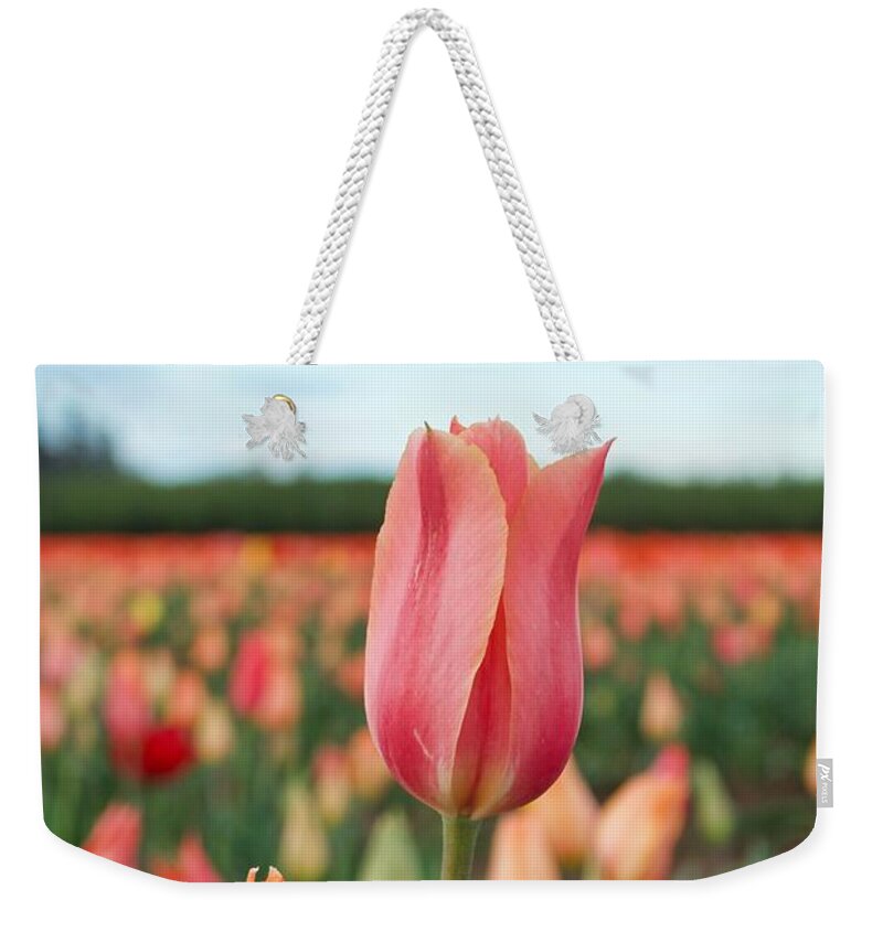Tulip Weekender Tote Bag featuring the photograph Standing Tall #1 by Brian Eberly