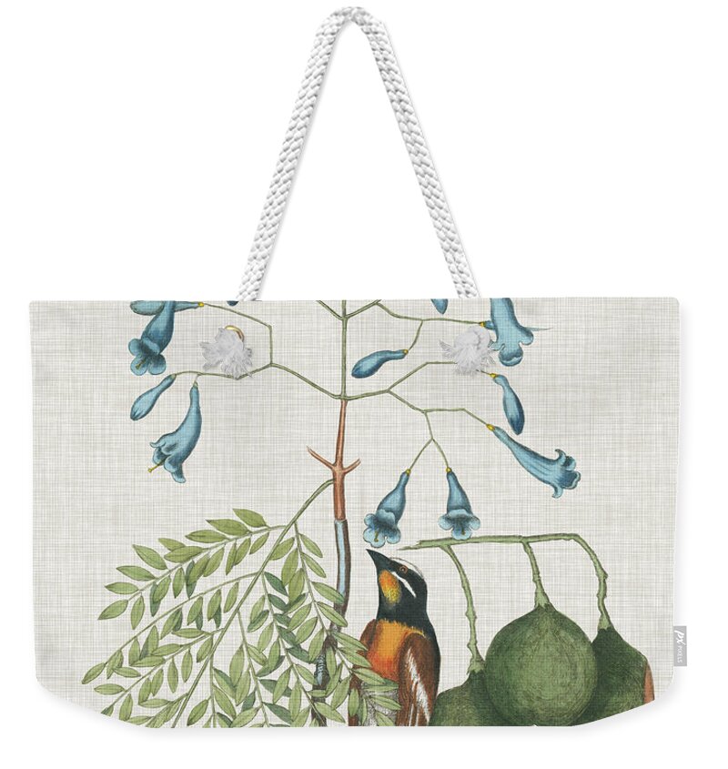Animals Weekender Tote Bag featuring the painting Studies In Nature II #1 by Mark Catesby
