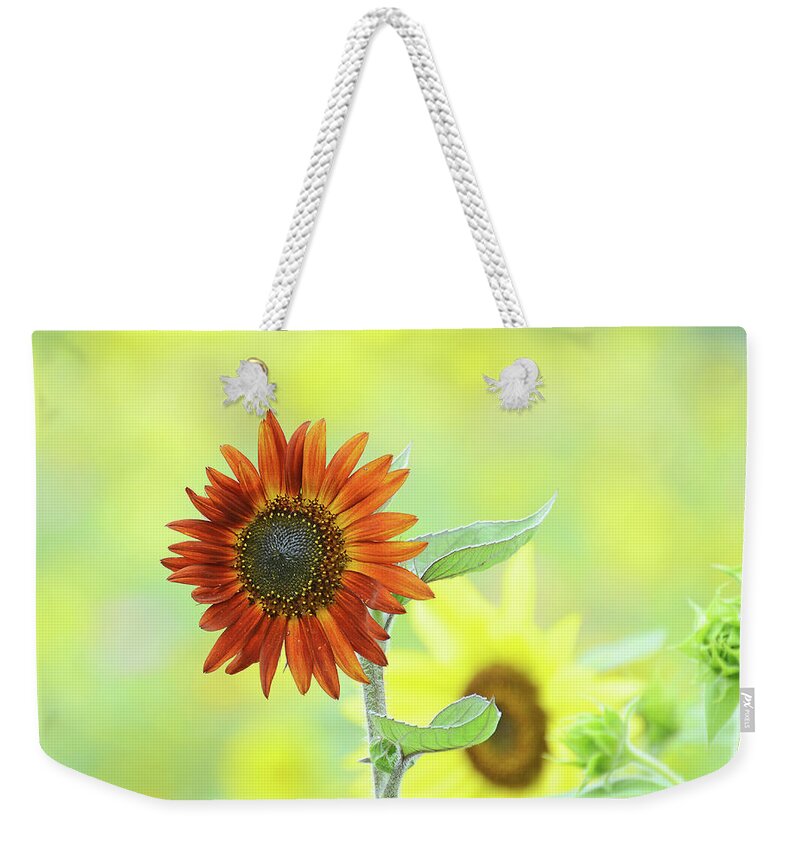Sunflower Weekender Tote Bag featuring the photograph Sunflower Field #1 by Rodney Campbell